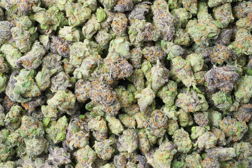 Shishkaberry Mediums