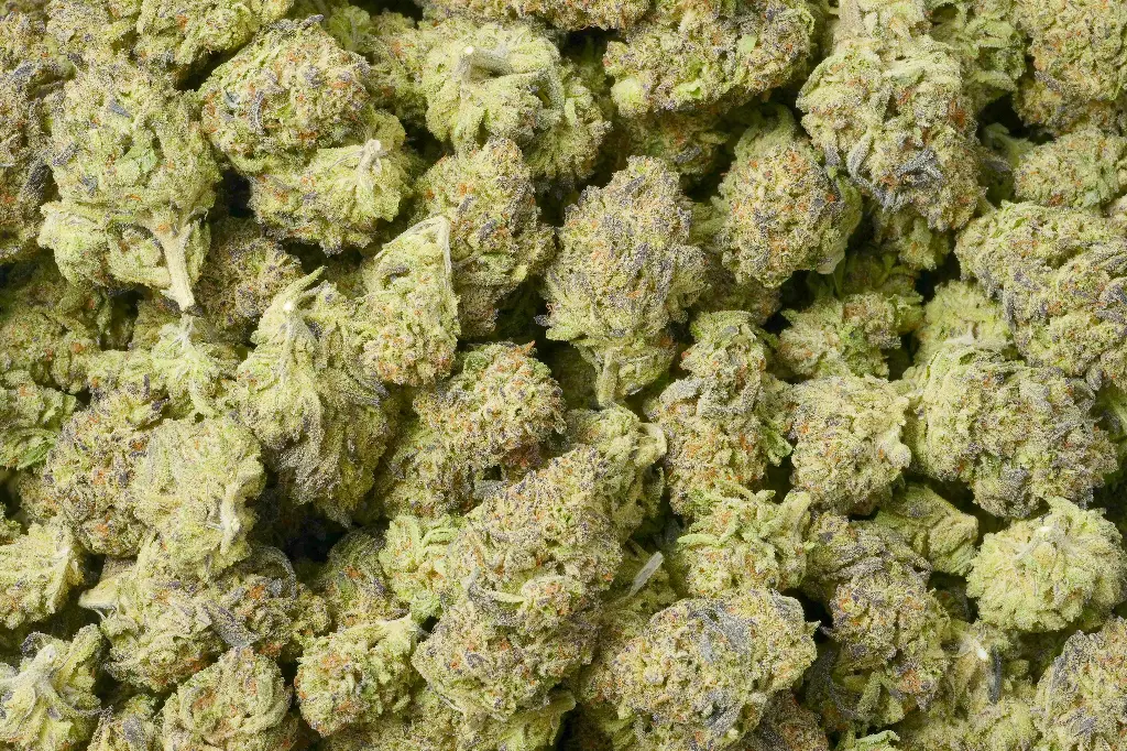 Hindu Kush