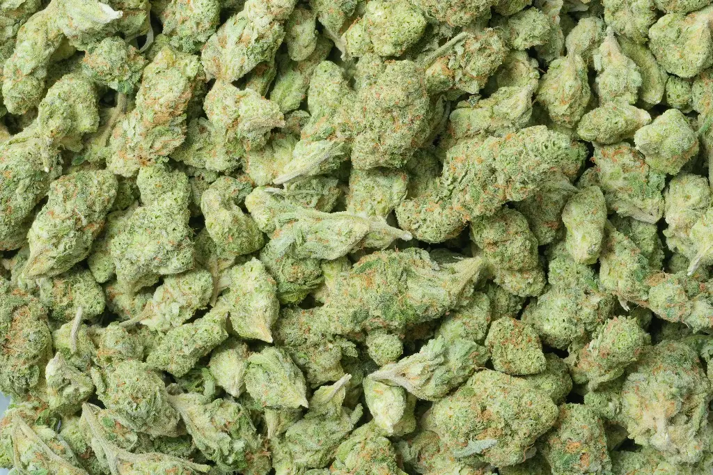 Sundae Driver