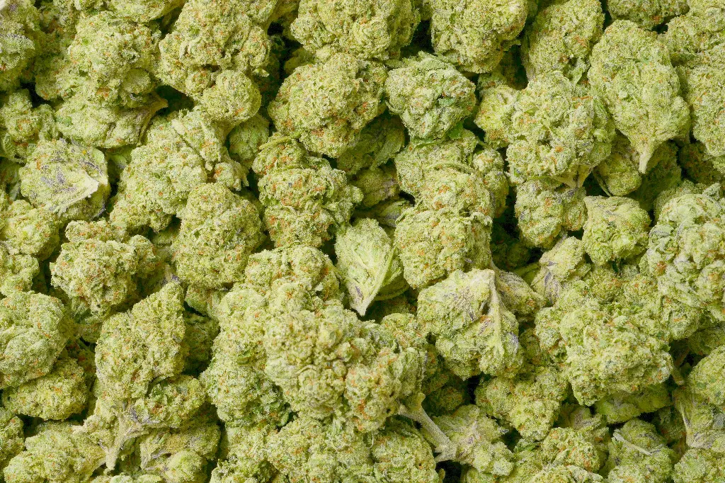 Royal Chemdawg 
