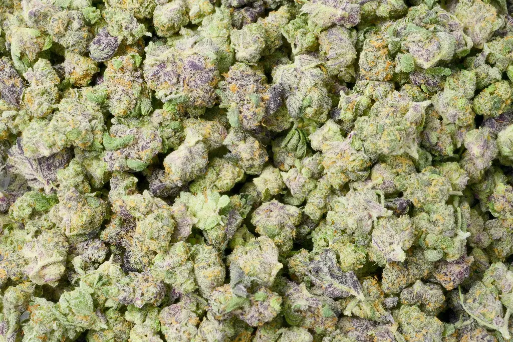 Violet Meadows Smalls
