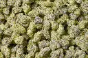 Cherry Haze Mediums