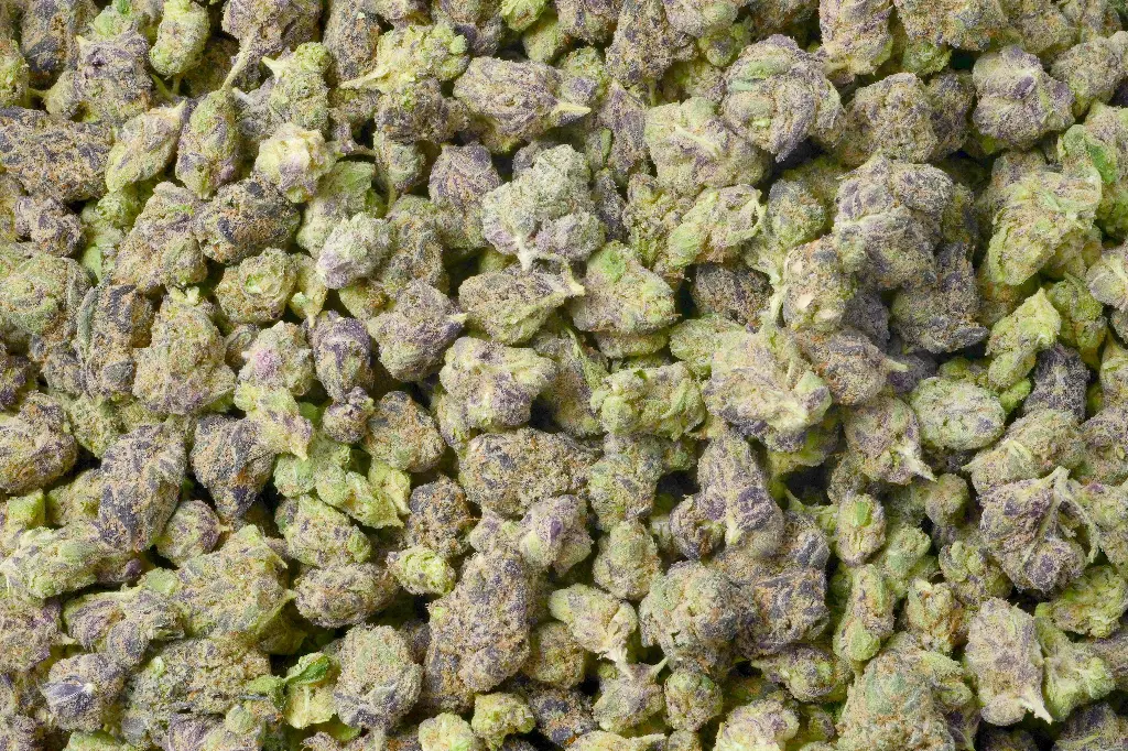 Gushers Mediums