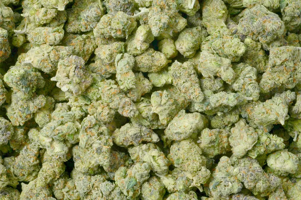Blackscotti Mediums