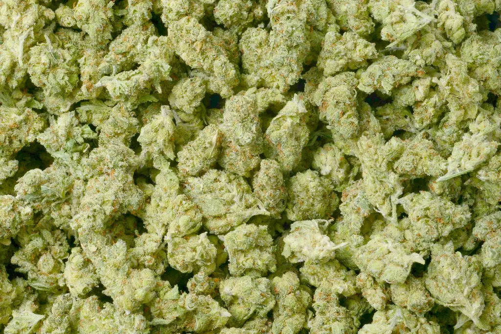Jack Herer Mediums