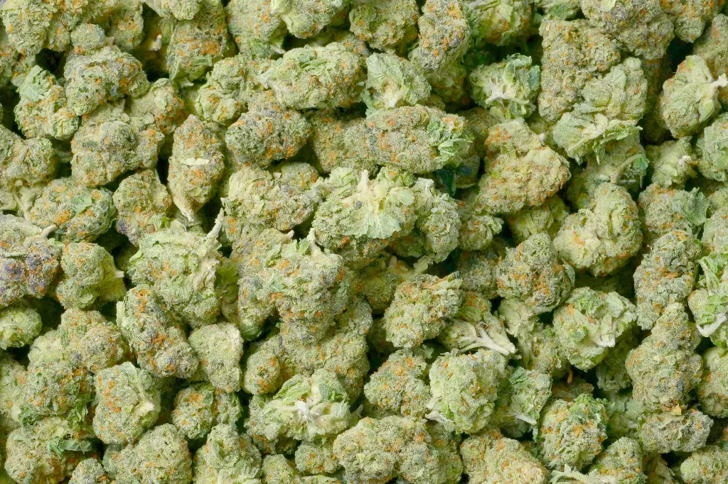 Banana Nose Candy Mediums