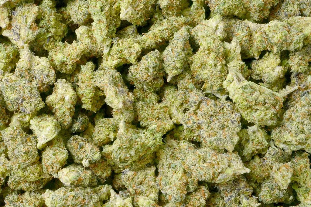 Mule Fuel Mediums
