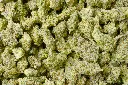 Mule Fuel Mediums