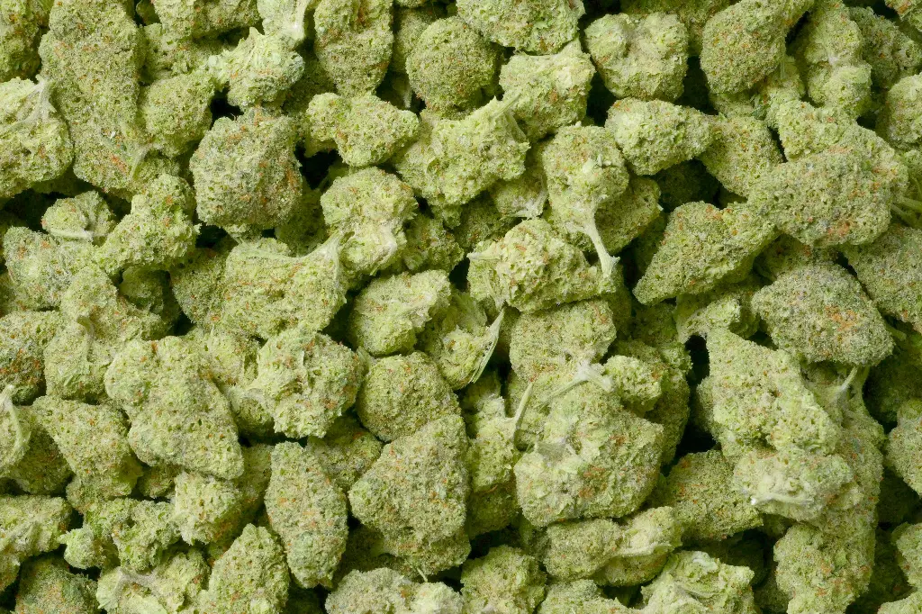 Thin Mint Mediums