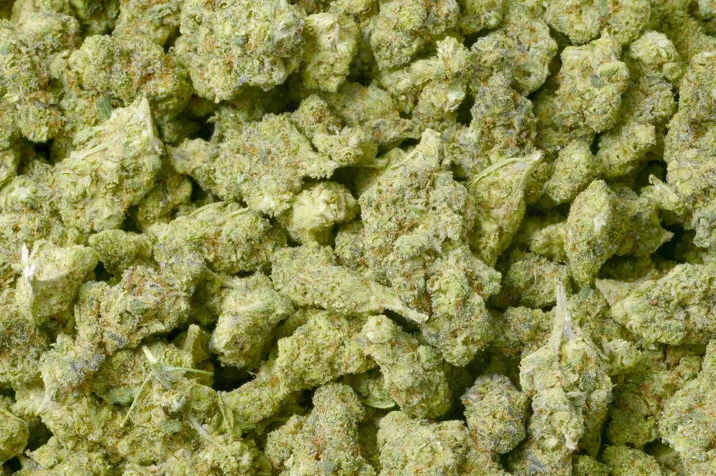 Mule Fuel 