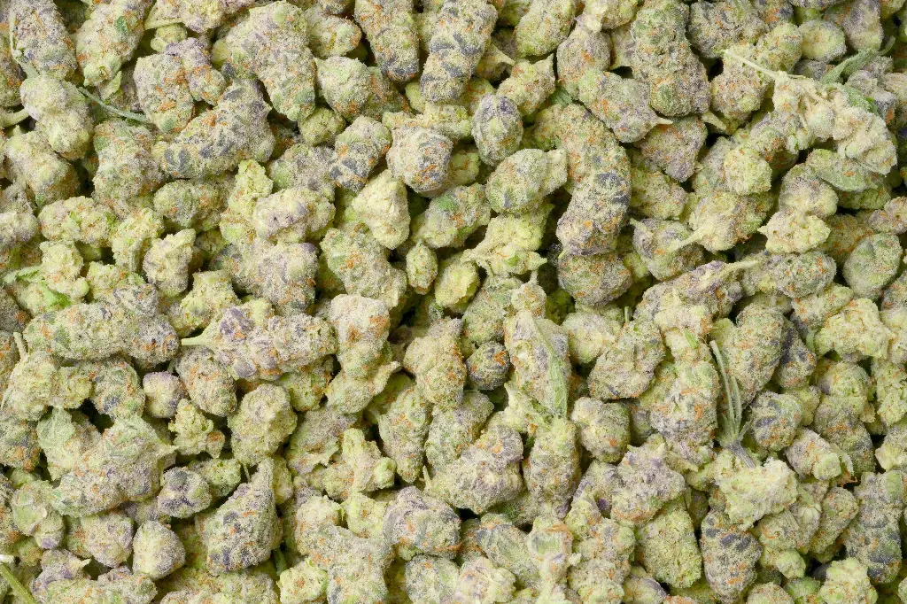 Glitter Bomb Smalls