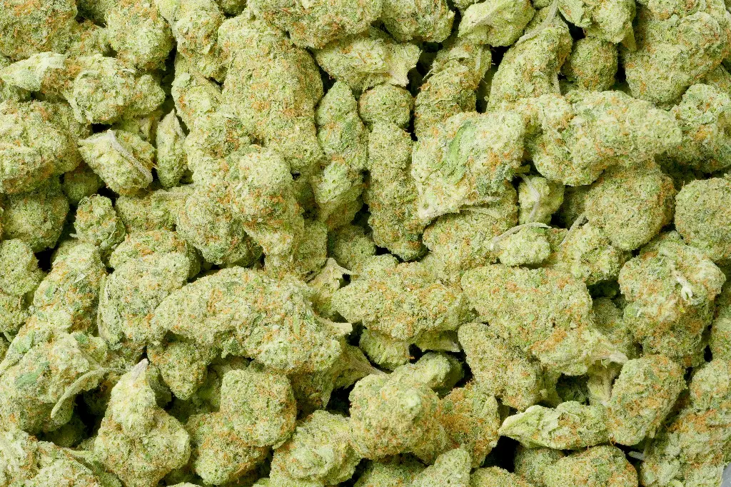 Gorilla Butter