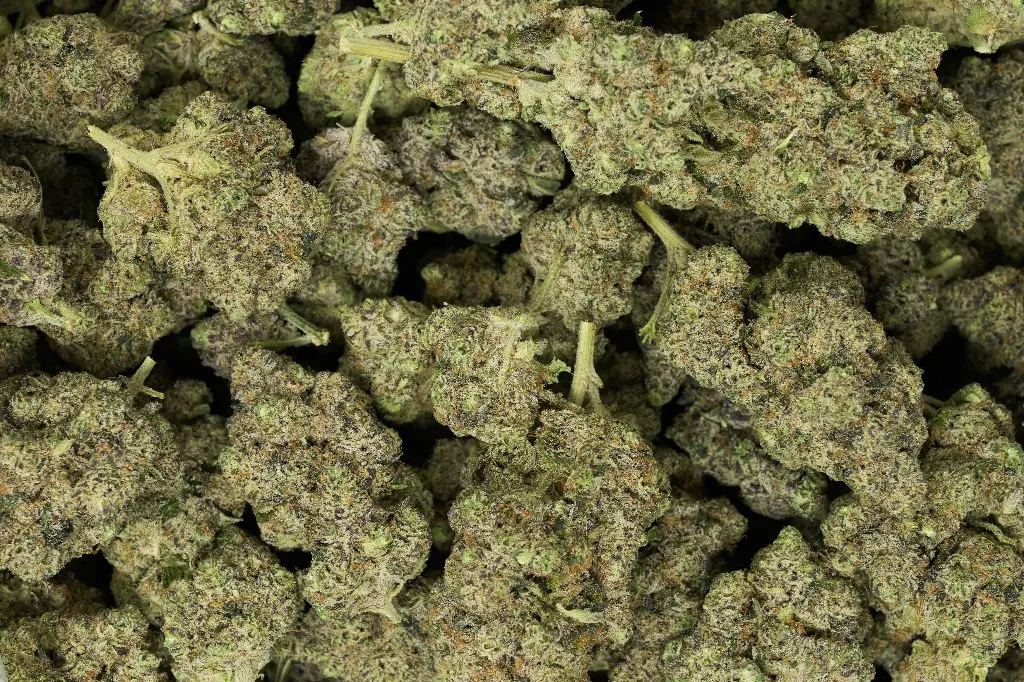 Gorilla Butter