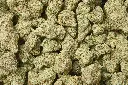 Platinum OG