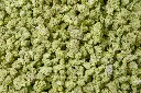 Thin Mint Smalls