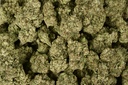 Lemon Drop