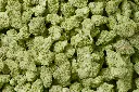 Thin Mint Mediums