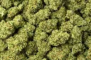 Jack Herer