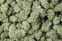 Purple Punch